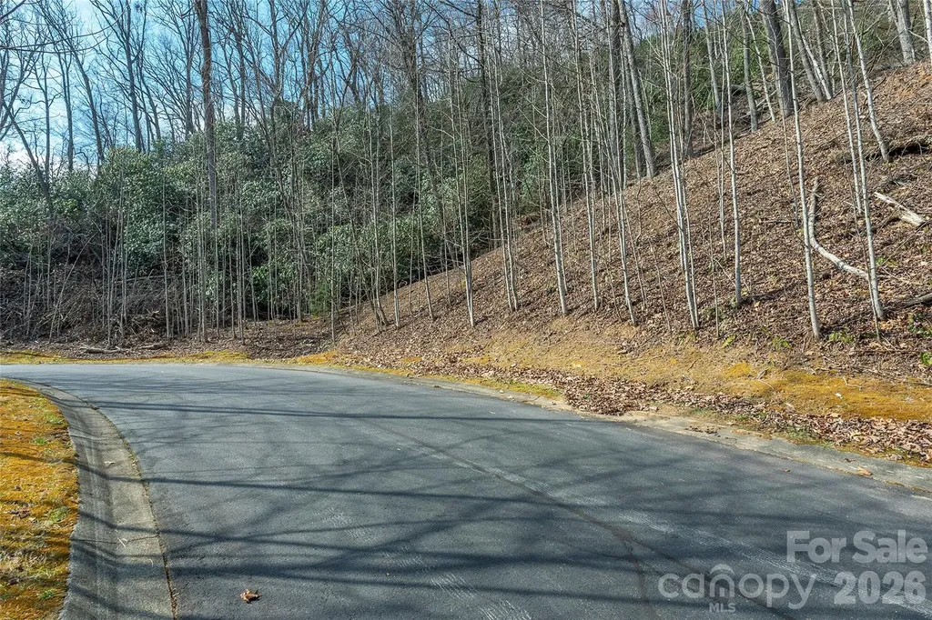 Lot 12 Shining Rock Path Horse Shoe NC 28742