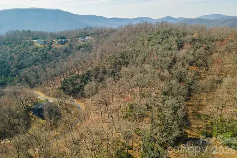 Lot 12 Shining Rock Path Horse Shoe NC 28742
