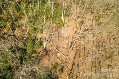 Lot 12 Shining Rock Path Horse Shoe NC 28742