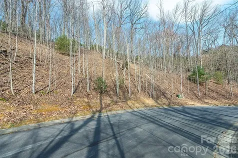 Lot 12 Shining Rock Path Horse Shoe NC 28742