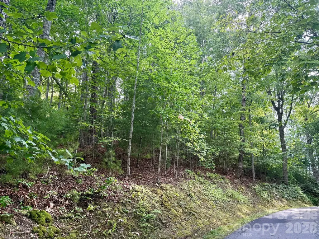 75 Longview Court Marshall NC 28753