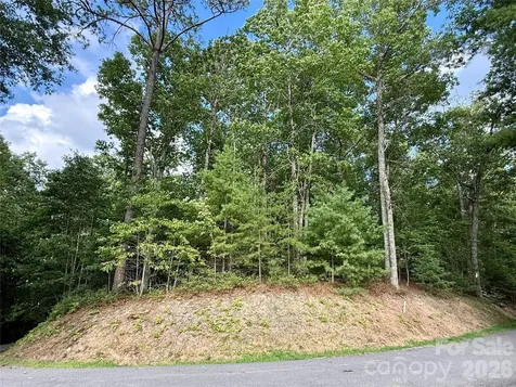75 Longview Court Marshall NC 28753