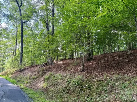 75 Longview Court Marshall NC 28753