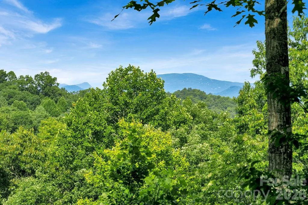 1625 Ugugu Drive Brevard NC 28712