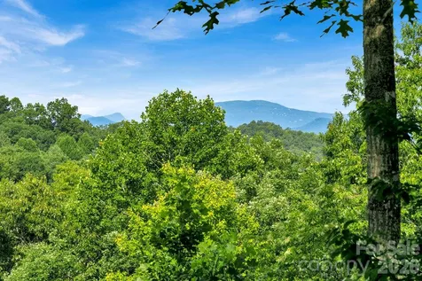 1625 Ugugu Drive Brevard NC 28712