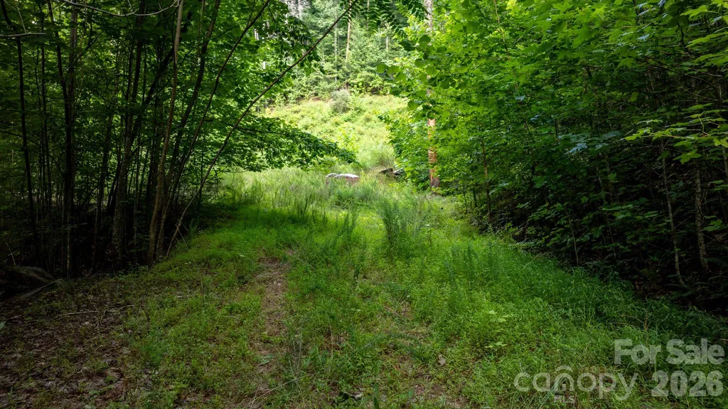 2945 Rockwood Drive Lenoir NC 28645