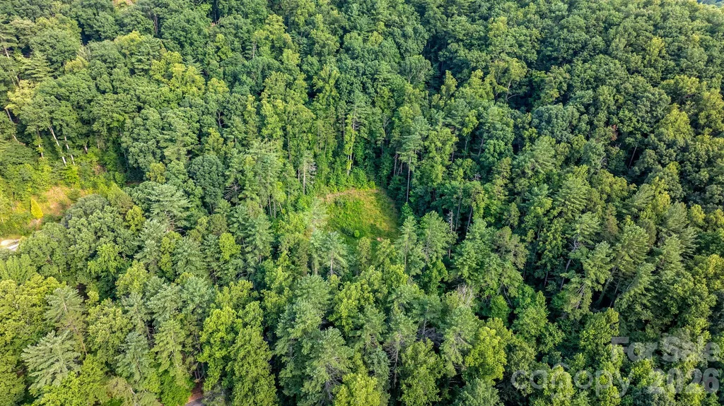 2945 Rockwood Drive Lenoir NC 28645