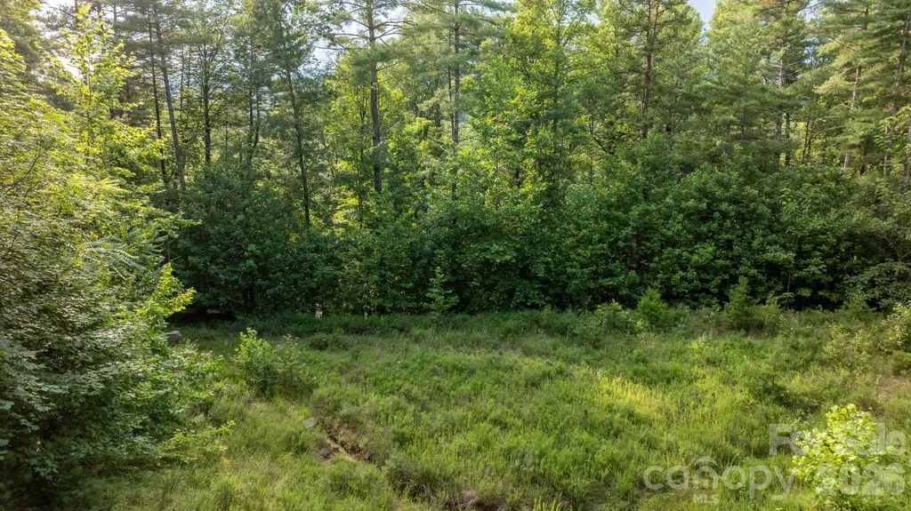 2945 Rockwood Drive Lenoir NC 28645