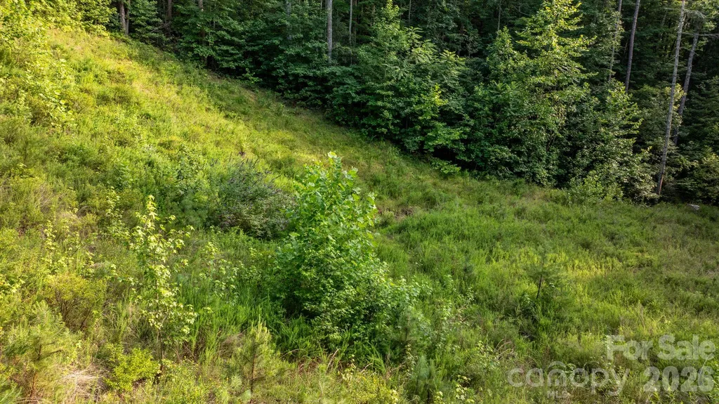 2945 Rockwood Drive Lenoir NC 28645