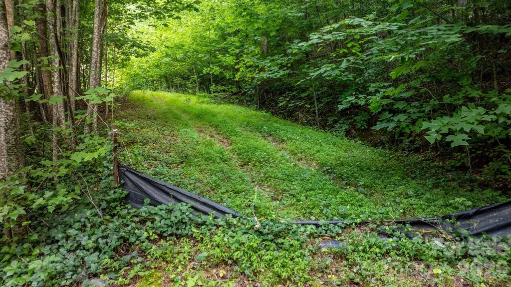 2945 Rockwood Drive Lenoir NC 28645