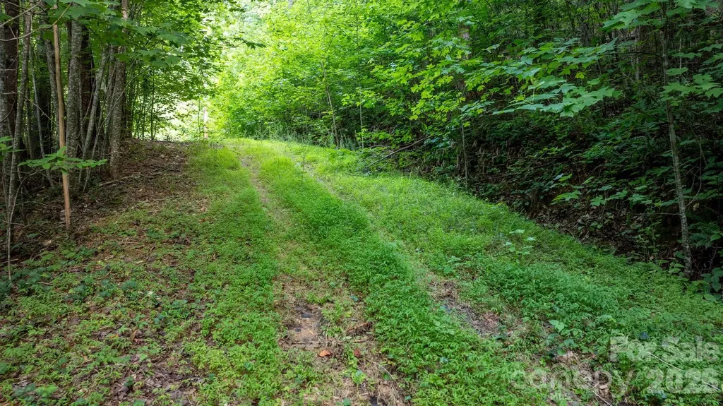 2945 Rockwood Drive Lenoir NC 28645