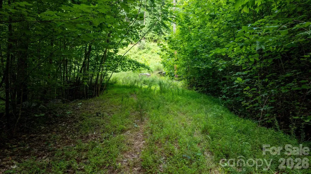 2945 Rockwood Drive Lenoir NC 28645