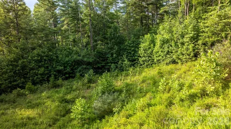 2945 Rockwood Drive Lenoir NC 28645