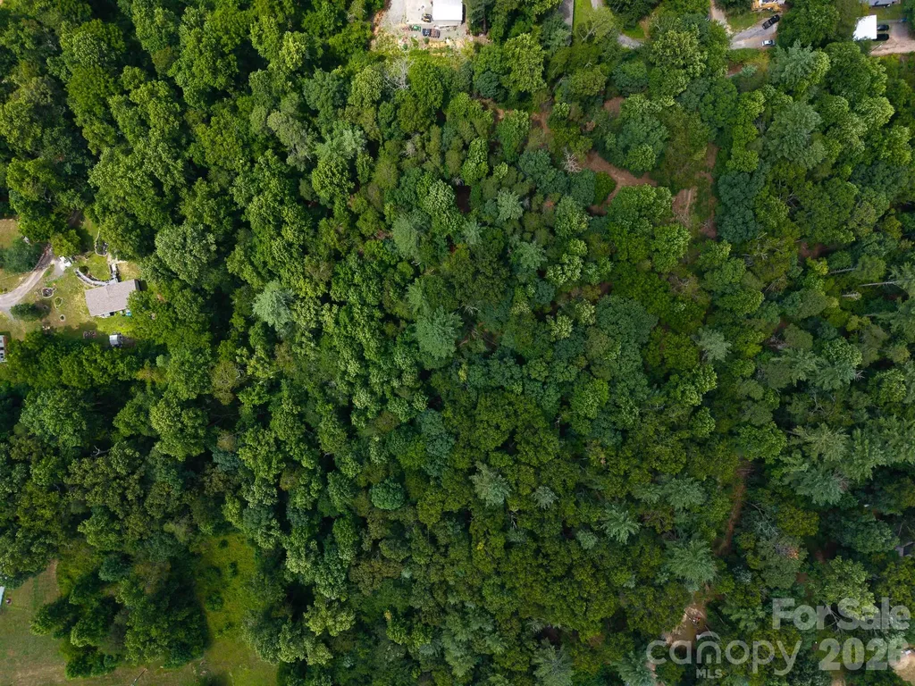 31 Burtiller Lane Fletcher NC 28732