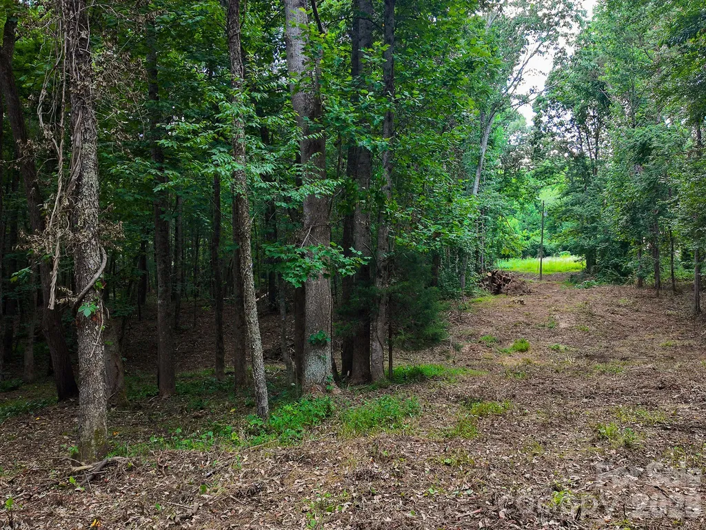 31 Burtiller Lane Fletcher NC 28732