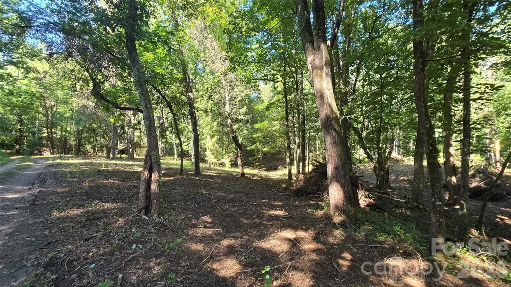 31 Burtiller Lane Fletcher NC 28732
