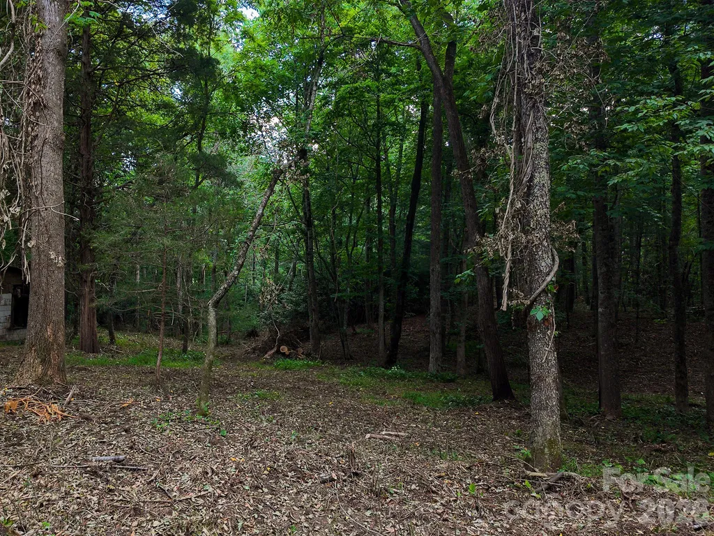 31 Burtiller Lane Fletcher NC 28732