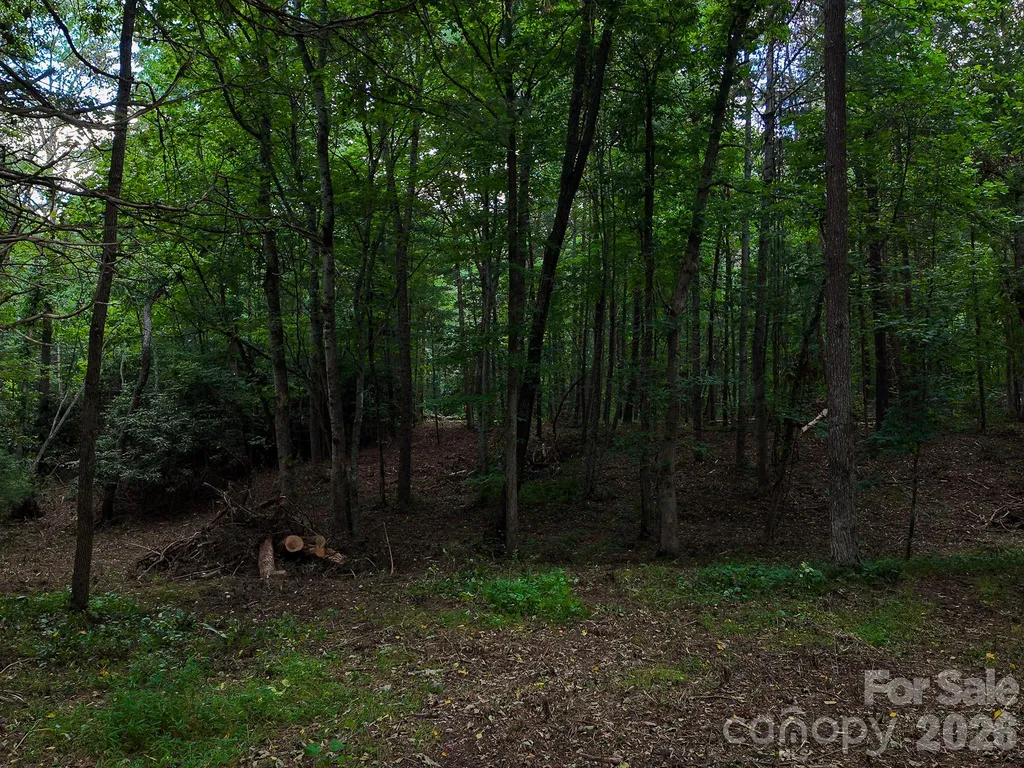31 Burtiller Lane Fletcher NC 28732