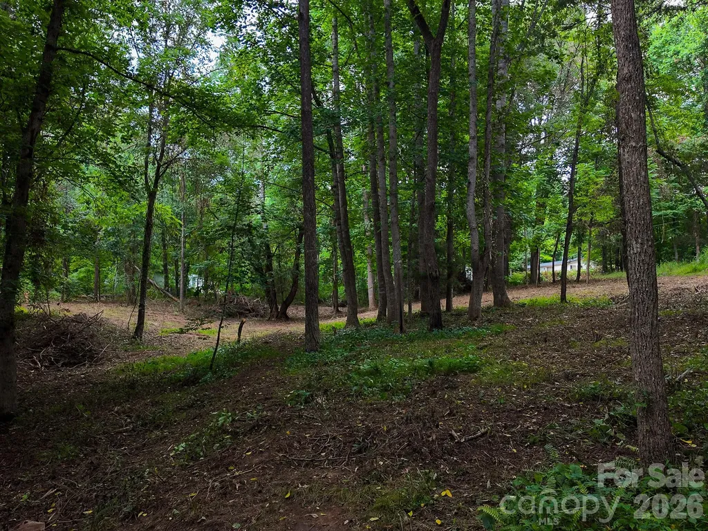 31 Burtiller Lane Fletcher NC 28732