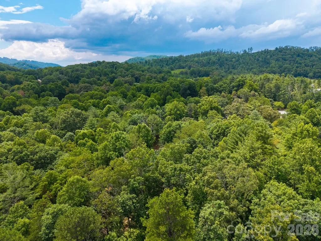 31 Burtiller Lane Fletcher NC 28732