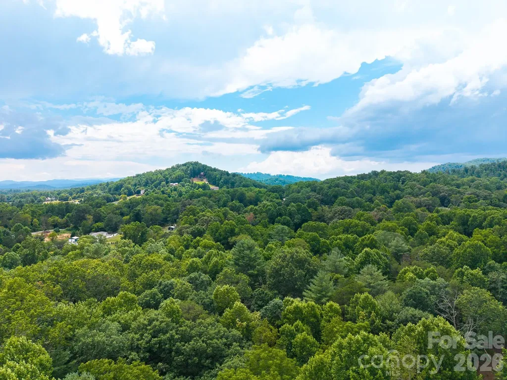 31 Burtiller Lane Fletcher NC 28732