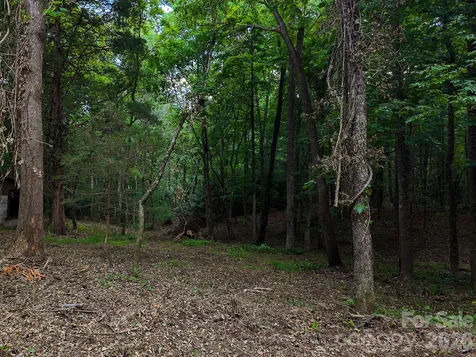 31 Burtiller Lane Fletcher NC 28732