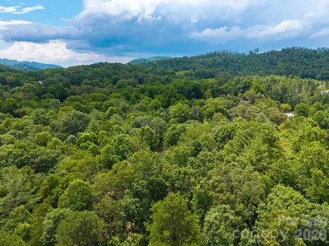 31 Burtiller Lane Fletcher NC 28732