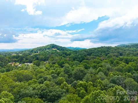 31 Burtiller Lane Fletcher NC 28732