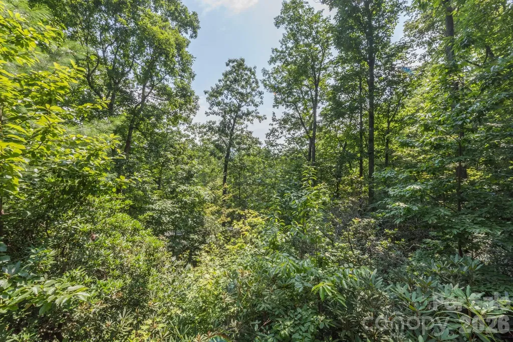 275 Allen Mountain Drive Black Mountain NC 28711