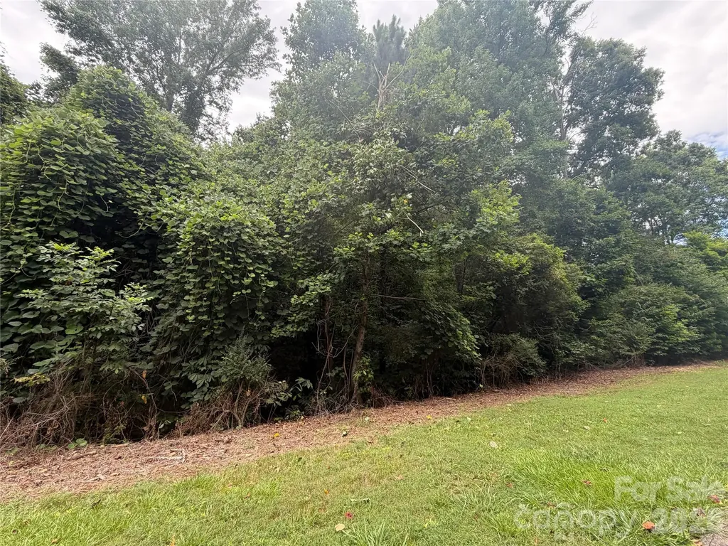 1575 Cranwell Drive Mt Ulla NC 28125