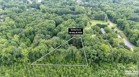 125 Red Fox Court Mount Holly NC 28120