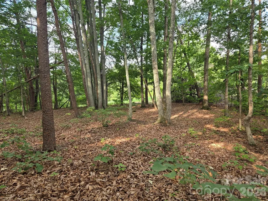 1236 Smithfield Drive Hudson NC 28638