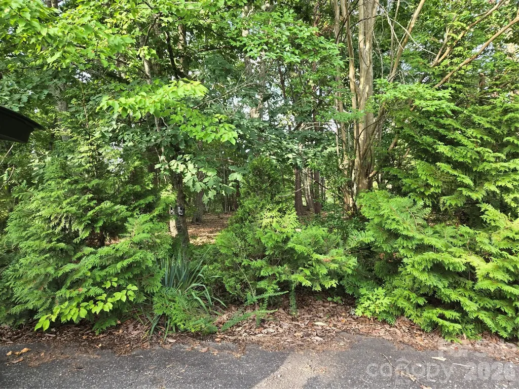 1236 Smithfield Drive Hudson NC 28638