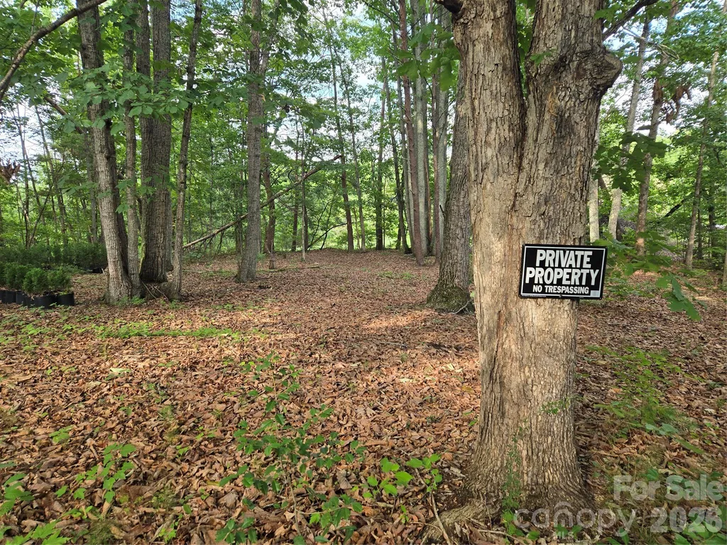 1236 Smithfield Drive Hudson NC 28638