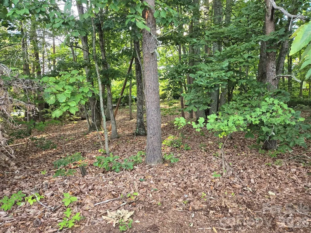 1236 Smithfield Drive Hudson NC 28638