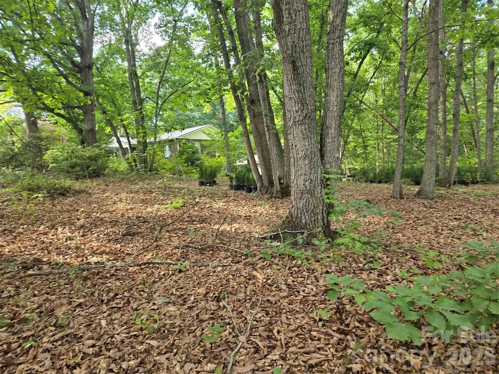 1236 Smithfield Drive Hudson NC 28638