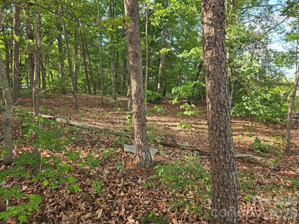 1236 Smithfield Drive Hudson NC 28638