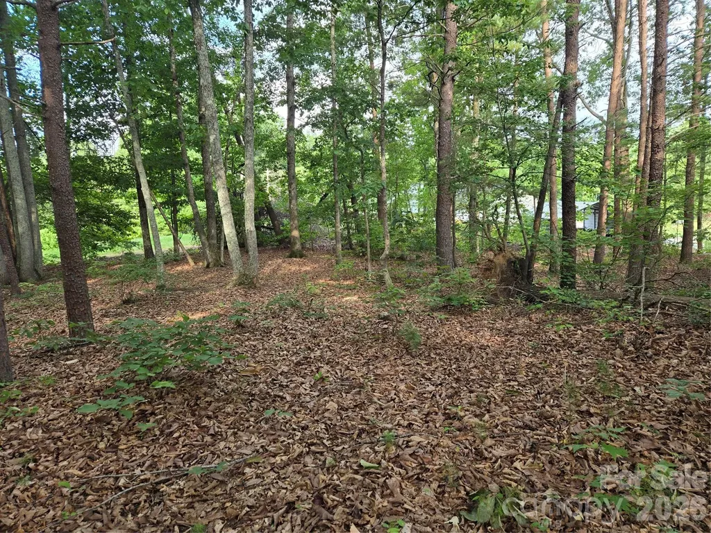 1236 Smithfield Drive Hudson NC 28638