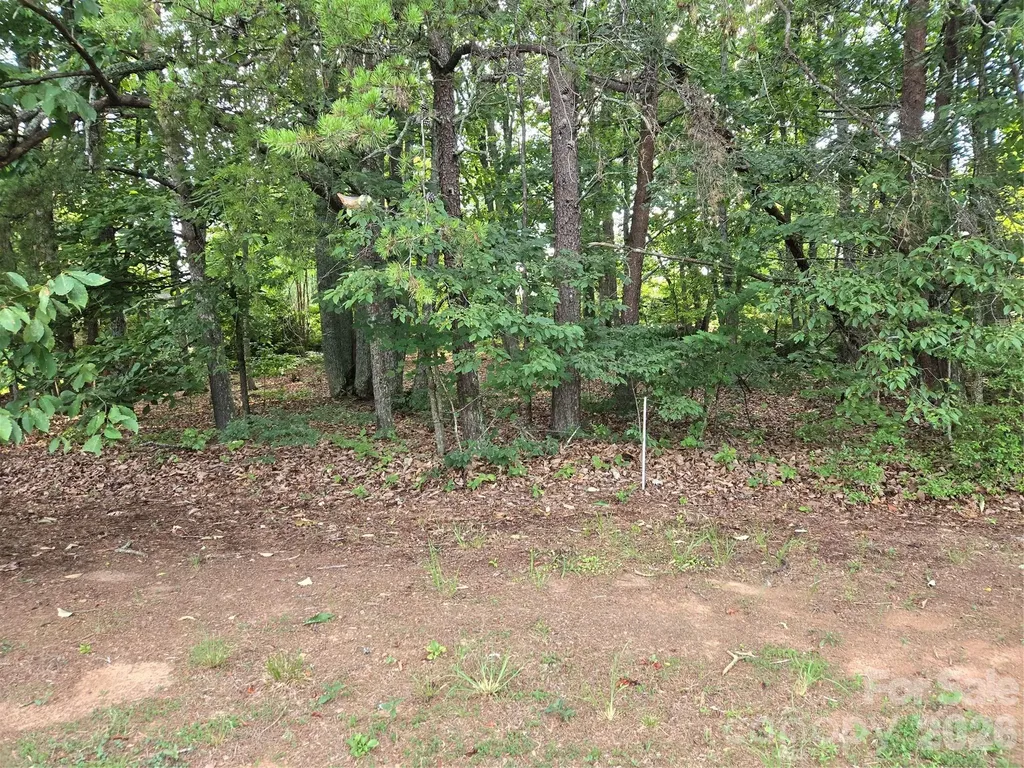 1236 Smithfield Drive Hudson NC 28638