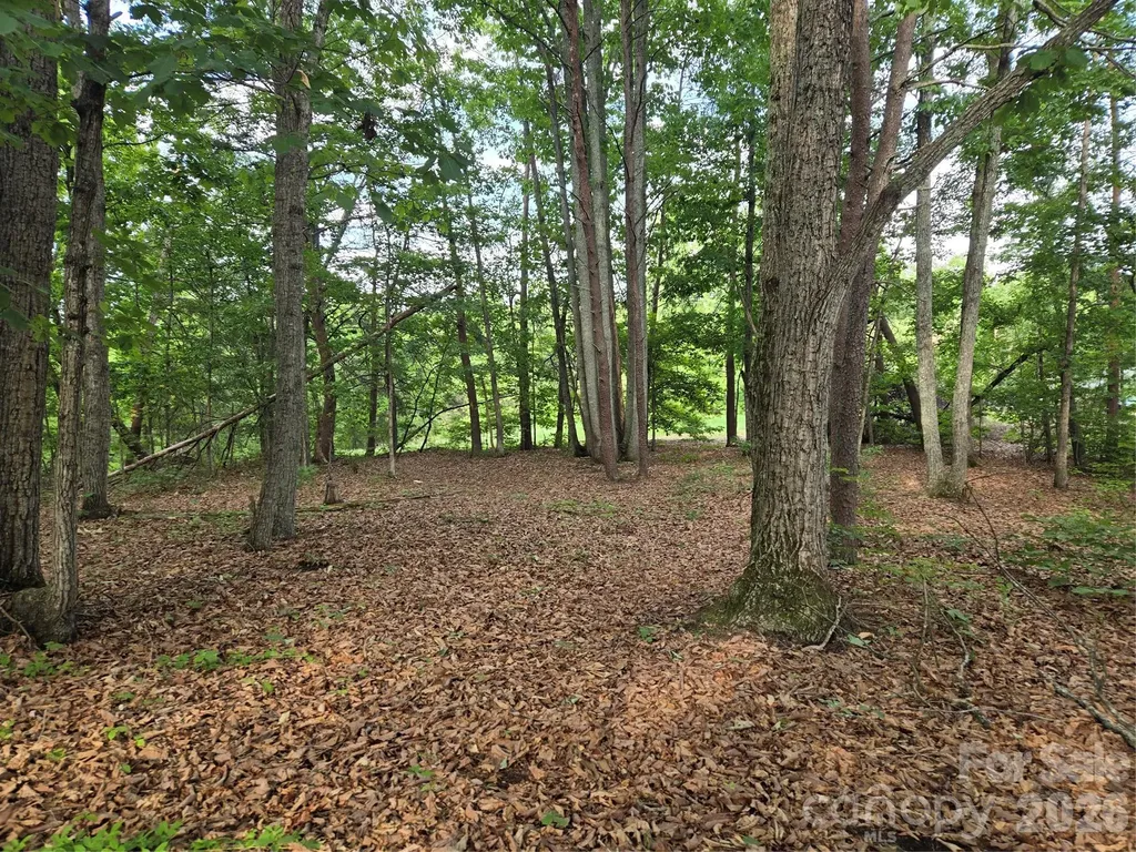 1236 Smithfield Drive Hudson NC 28638