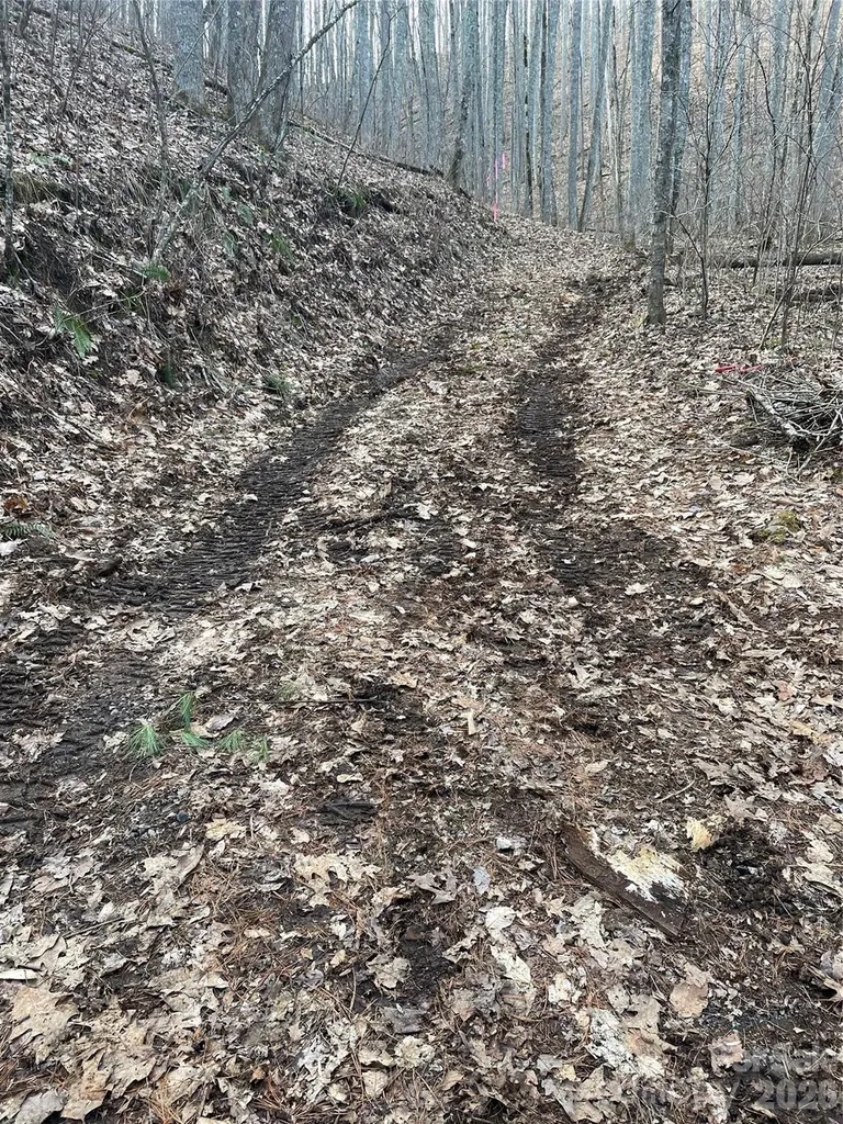 533 Enchanted Forest Drive Sylva NC 28779