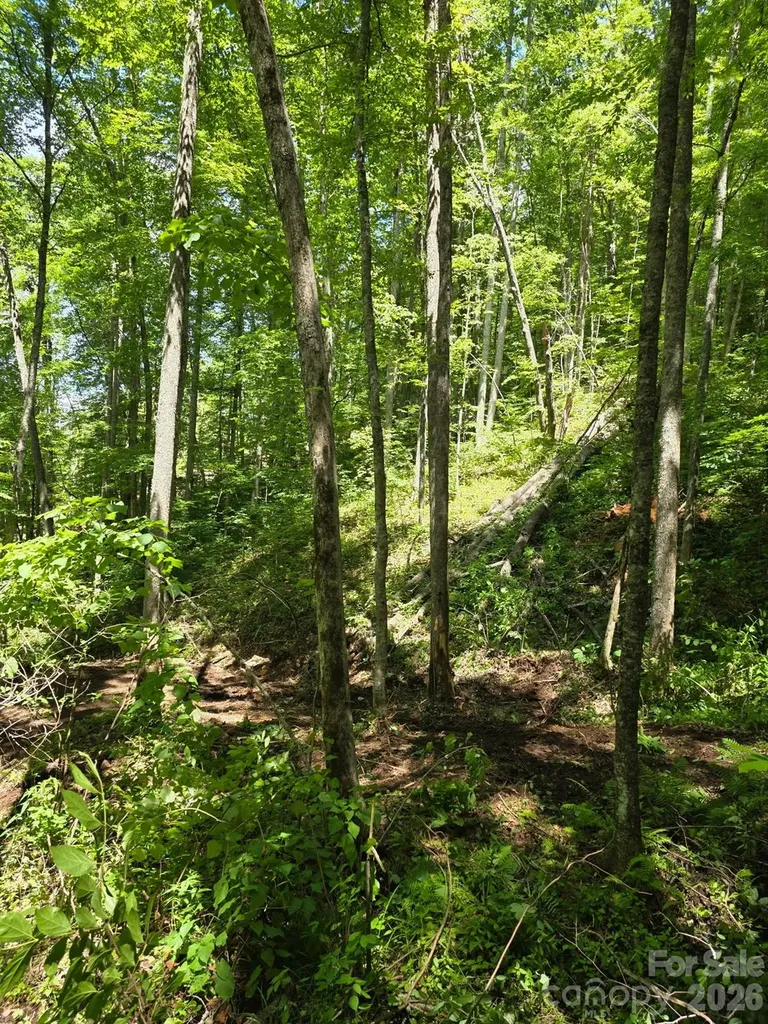 533 Enchanted Forest Drive Sylva NC 28779