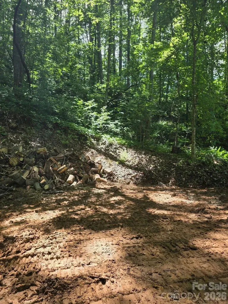 533 Enchanted Forest Drive Sylva NC 28779