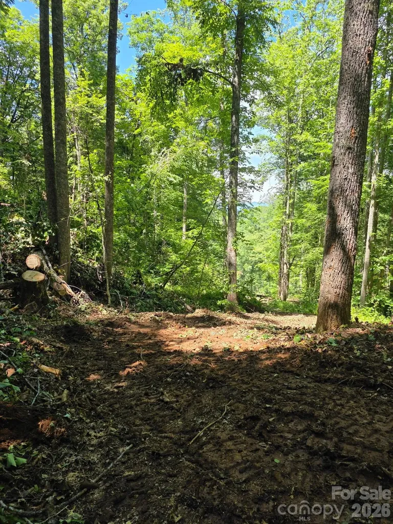 533 Enchanted Forest Drive Sylva NC 28779