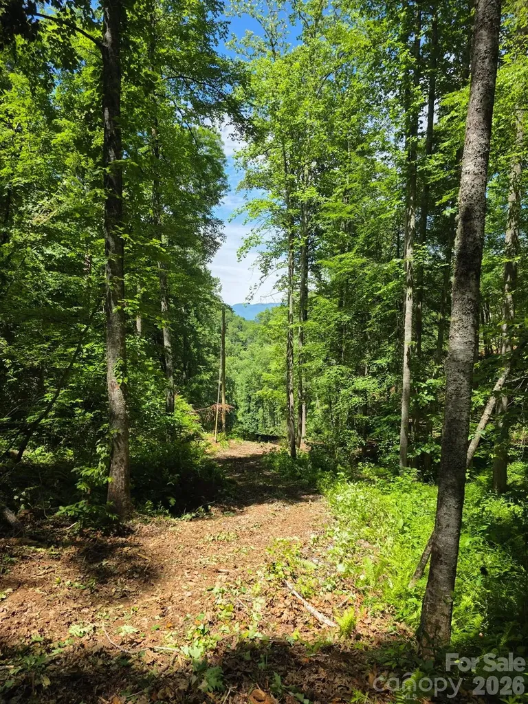 533 Enchanted Forest Drive Sylva NC 28779