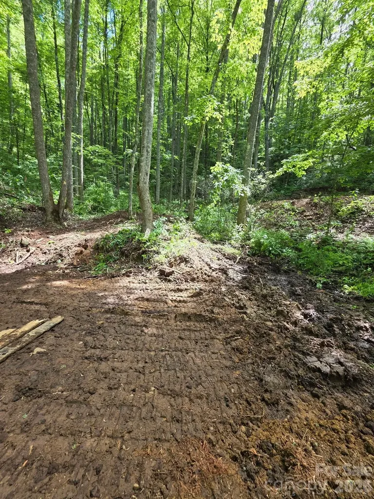 533 Enchanted Forest Drive Sylva NC 28779