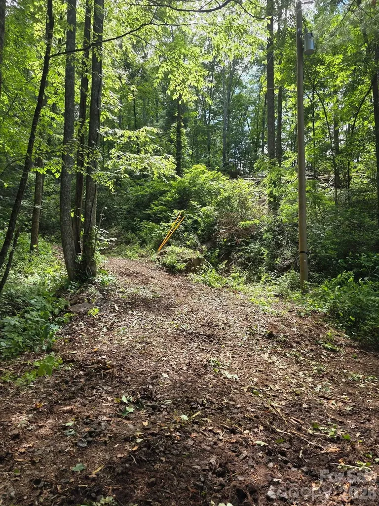 533 Enchanted Forest Drive Sylva NC 28779