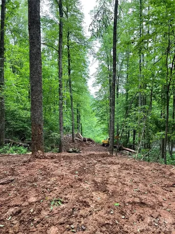 533 Enchanted Forest Drive Sylva NC 28779