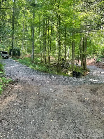 533 Enchanted Forest Drive Sylva NC 28779