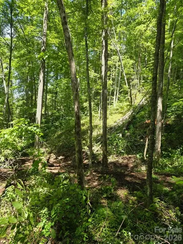 533 Enchanted Forest Drive Sylva NC 28779